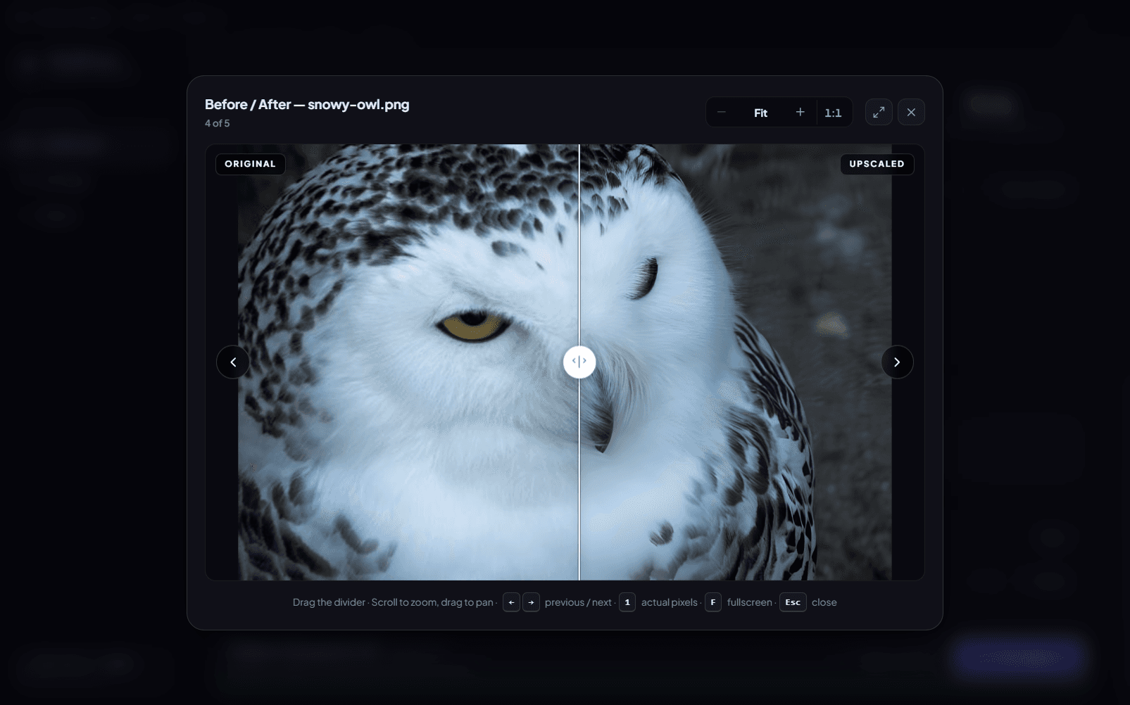 PixelForge's before and after viewer comparing the original owl with the upscaled result